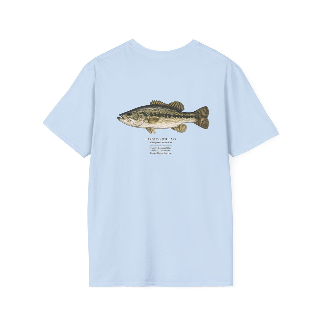 Tight Lines- bass