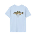 Tight Lines- bass