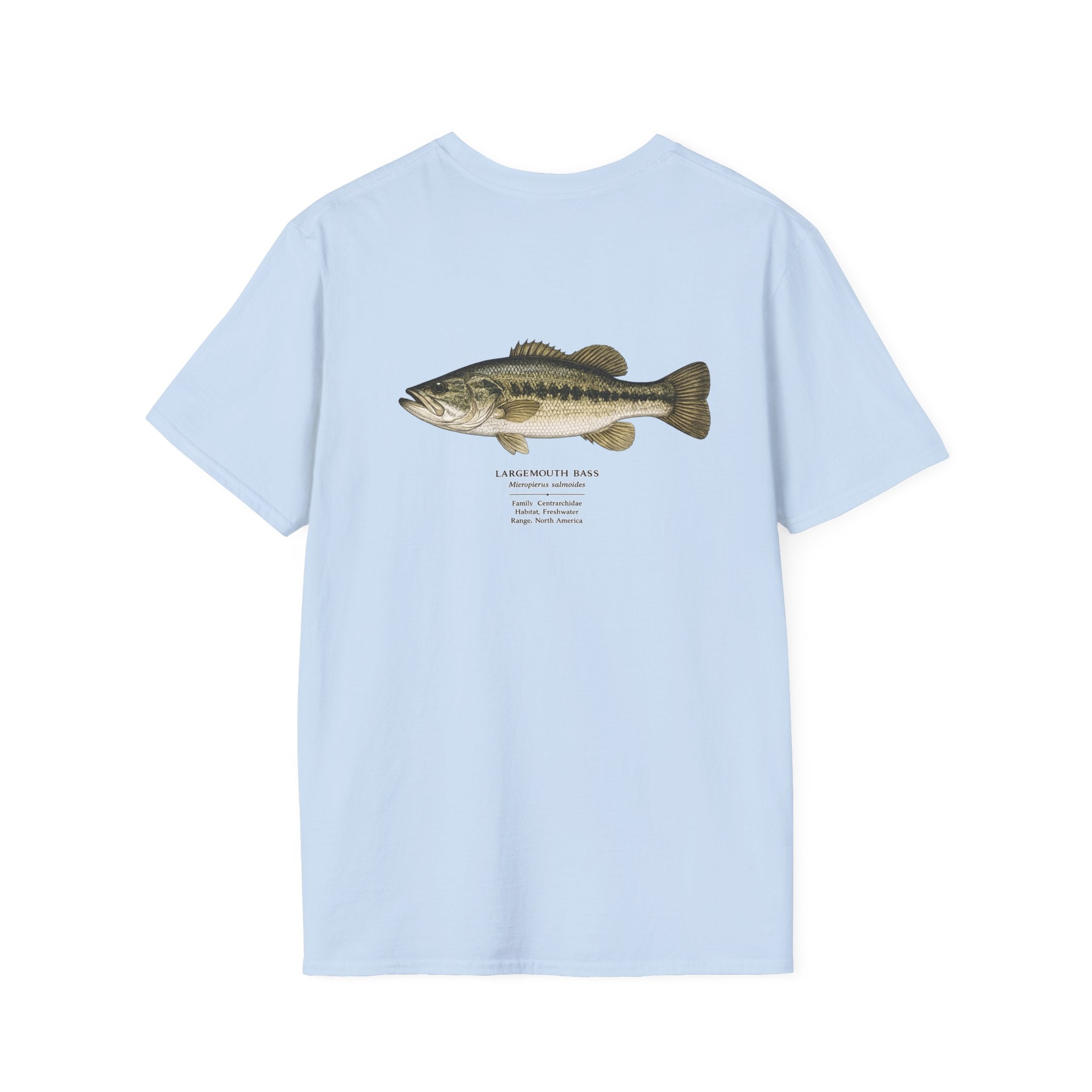 Tight Lines- bass