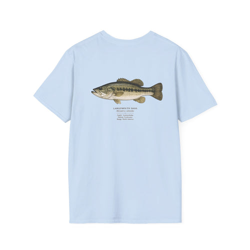 Tight Lines- bass