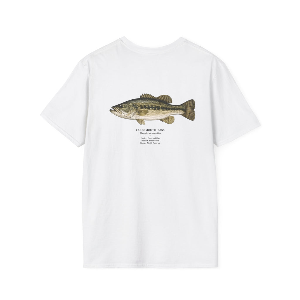 Tight Lines- bass