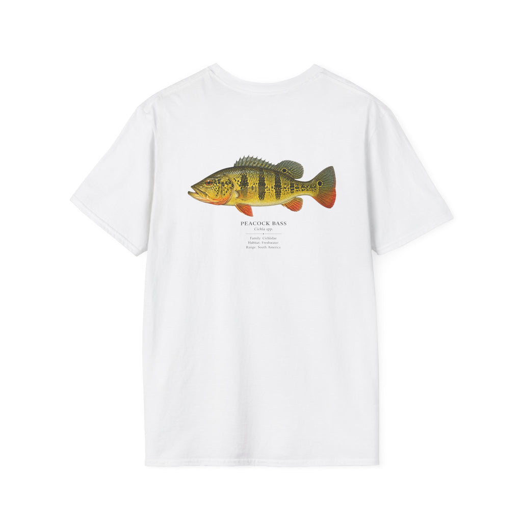 Tight Lines- Peacock