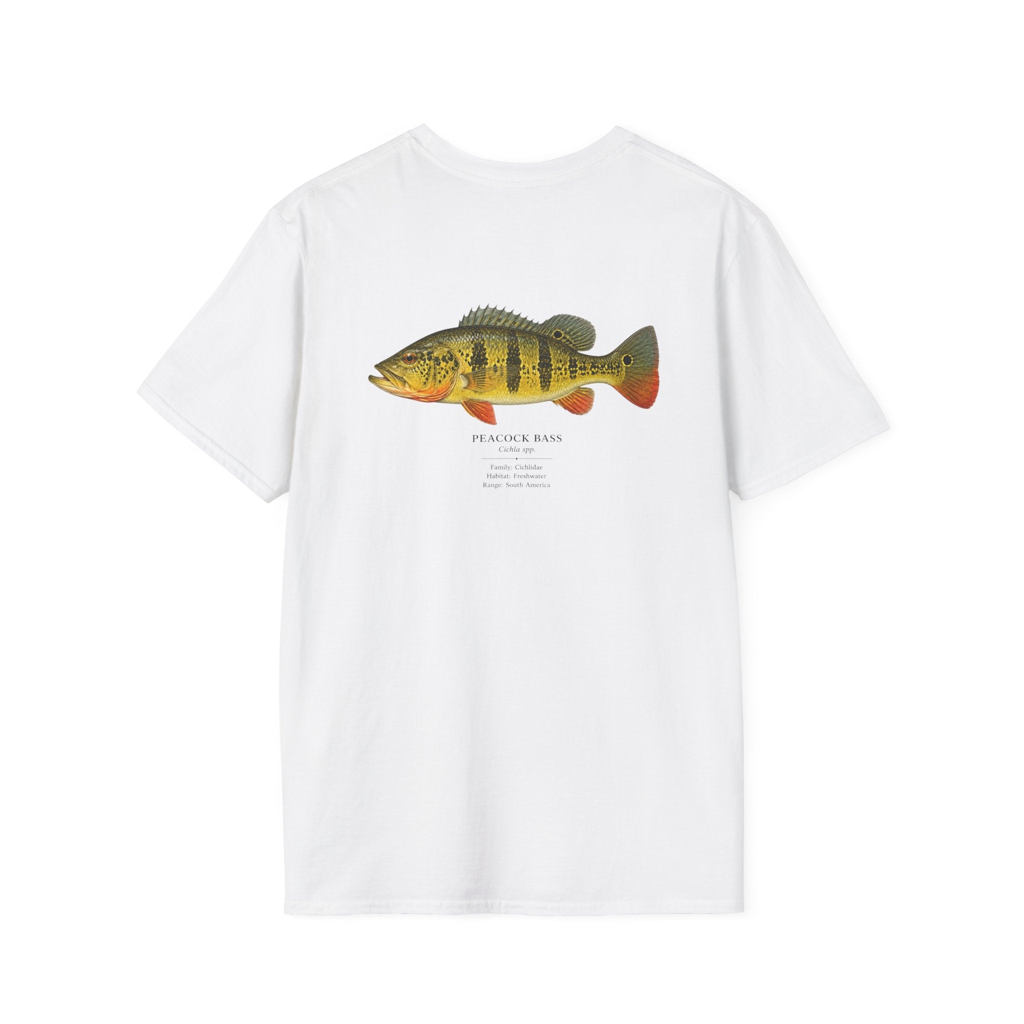 Tight Lines- Peacock