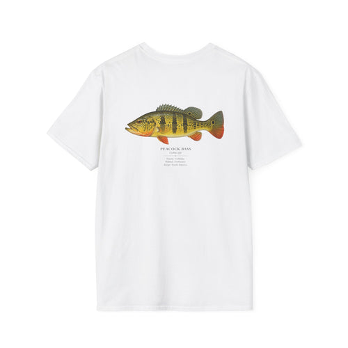 Tight Lines- Peacock