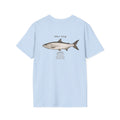 Tight Lines- Tarpon
