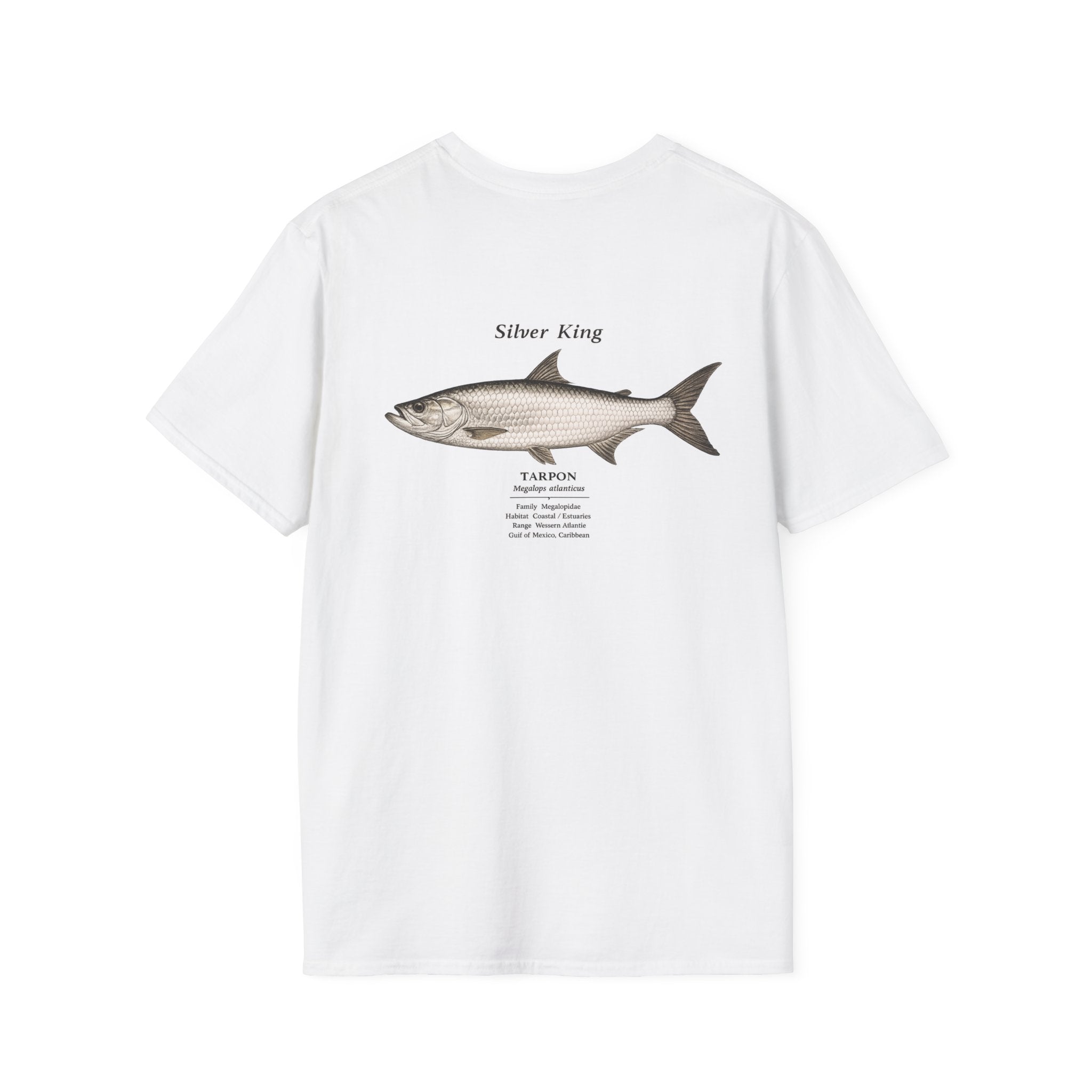 Tight Lines- Tarpon